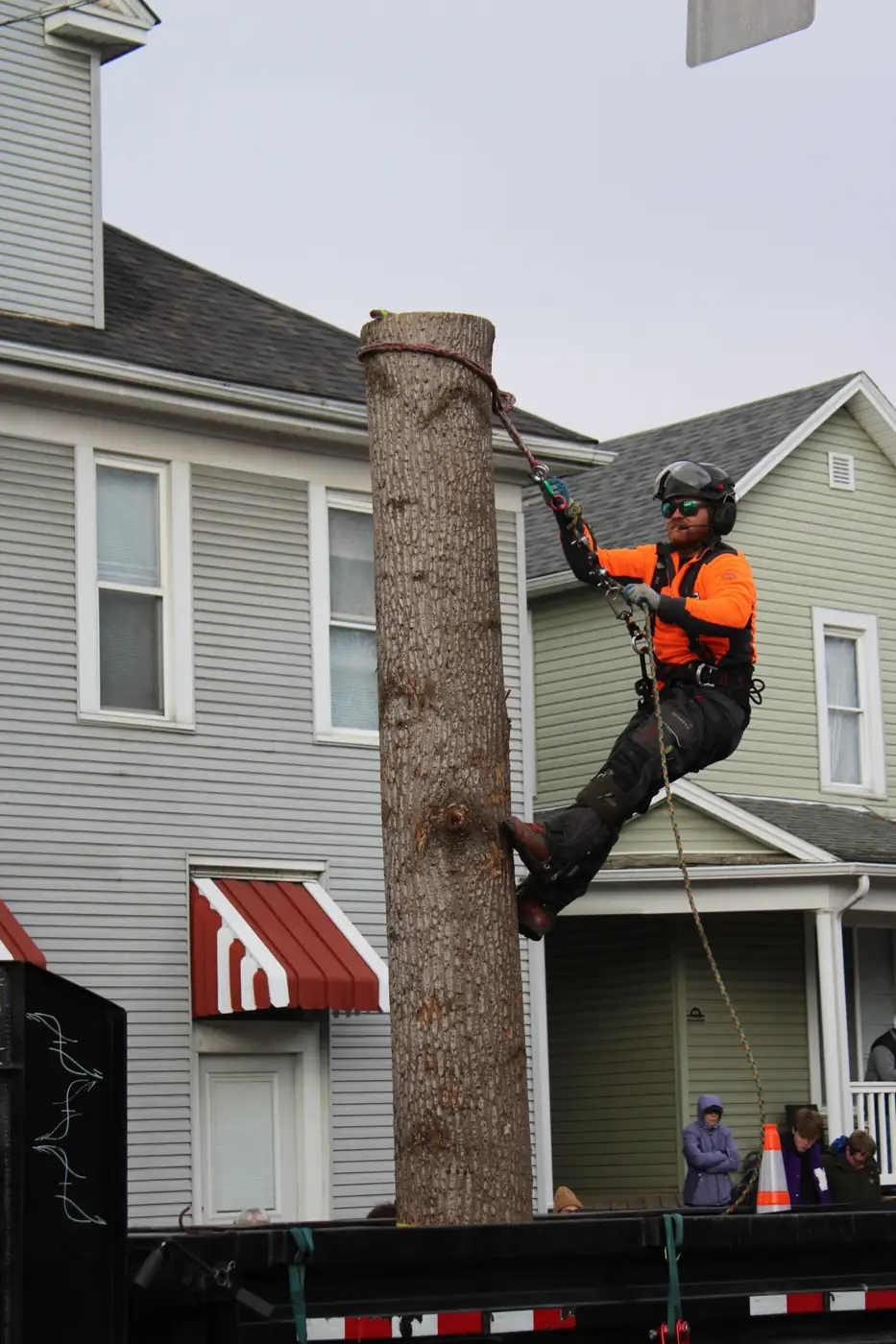 Arborist climbing a tree trunk to take it down in sections near houses – tree removal service for East Hanover, NJ properties