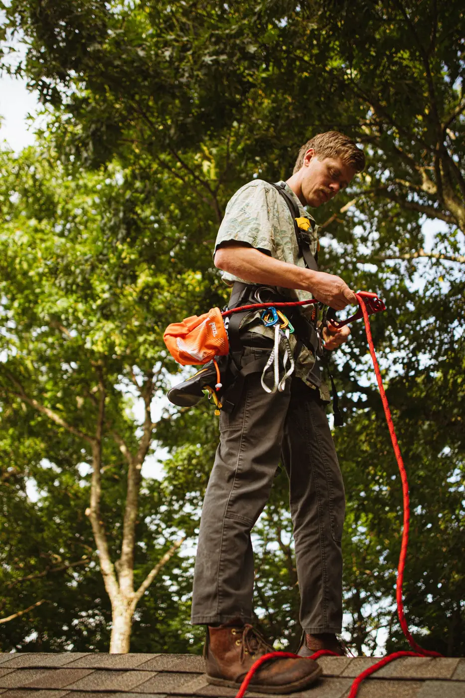 Arborist setting up climbing ropes on a roof before removing an overhanging tree – tree removal service for Dover, NJ properties